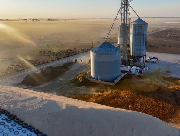 Feedlot next to KAAPA ethanol